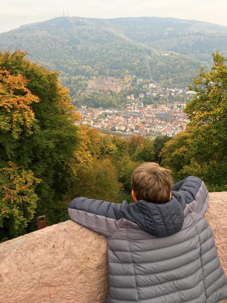 Heidelberg from the monastery tower.