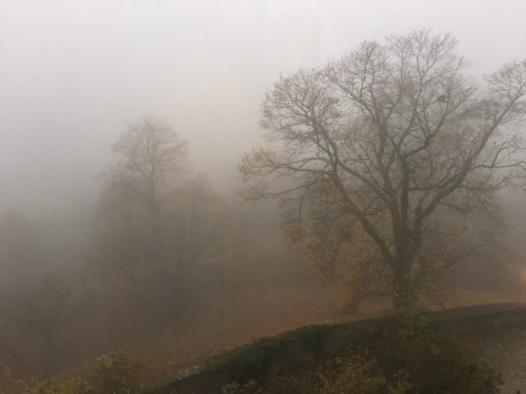 Foggy morning in Colmberg